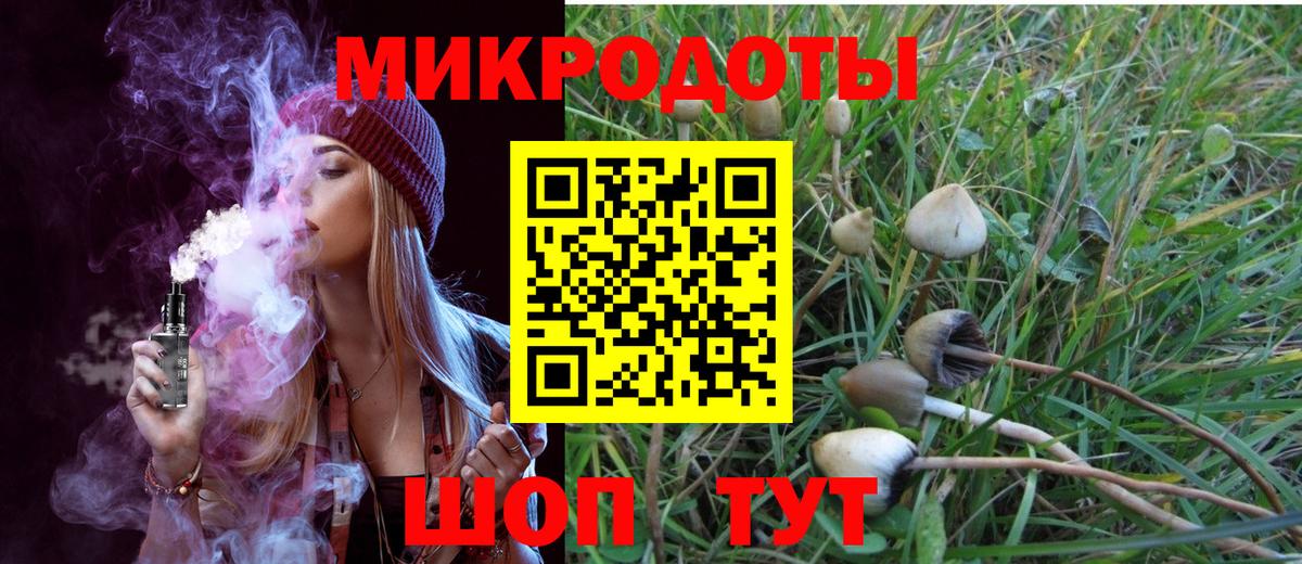 Псилоцибиновые грибы Cubensis  Вход с VPN  Майкоп 